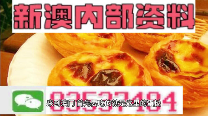 澳门正版资料全年免费公开精准资料一,澳门正版资料，全年免费公开精准资料一探究竟