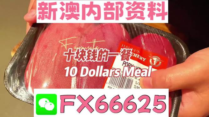 新澳精准资料免费群聊,免费共享新澳精准资料，群聊的力量与价值