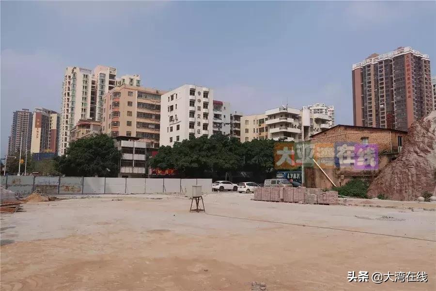 2025年新澳资料免费公开,2025年新澳资料免费公开，开启全球教育资源共享的新篇章