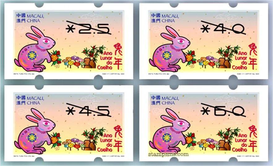 新澳门出最准生肖,新澳门出最准生肖，揭秘背后的科学逻辑与文化意义