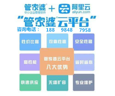 7777788888管家婆精准版游戏介绍,7777788888管家婆精准版游戏，揭秘数字背后的娱乐与策略
