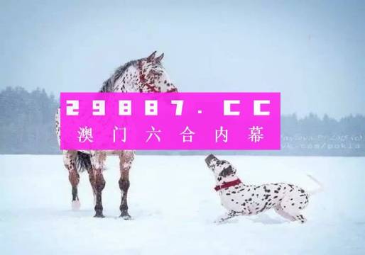 澳门一肖一码100%精准的背景故事,澳门一肖一码100%精准，数字背后的传奇与误解