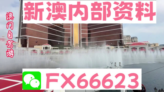 新澳内部资料精准一码,揭秘新澳内部资料精准一码，深度解析与理性探讨