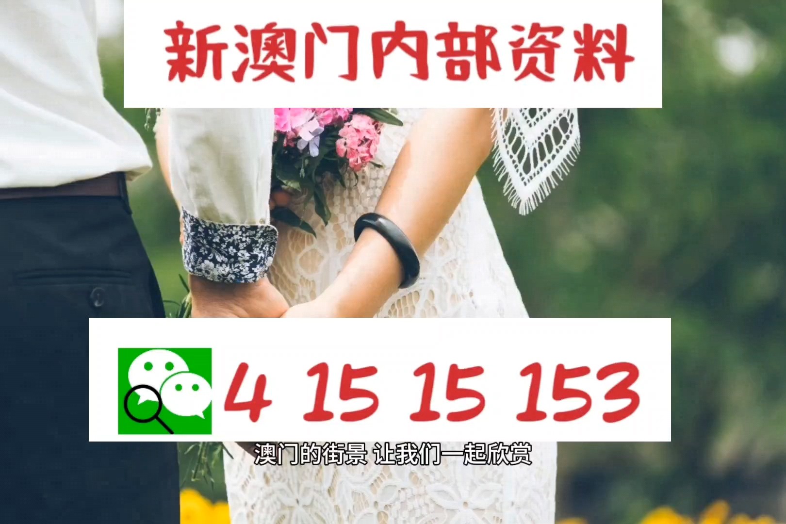 新澳最新版资料心水,探索新澳最新版资料，解锁心水之选