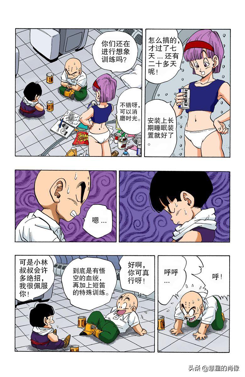 246天天彩免费资料大全功能,246天天彩免费资料大全，解锁中奖秘籍的数字乐园