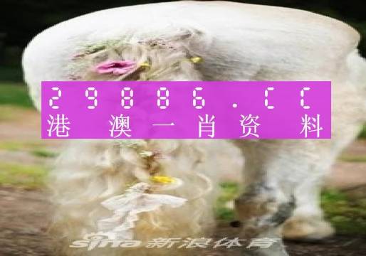 澳门一肖一码准选一码2023年,澳门一肖一码准选一码2023年，揭秘与解析