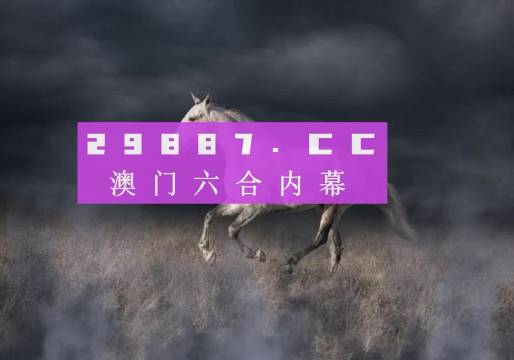新澳门彩4949开奖记录,澳门彩4949，历史与未来的交汇点