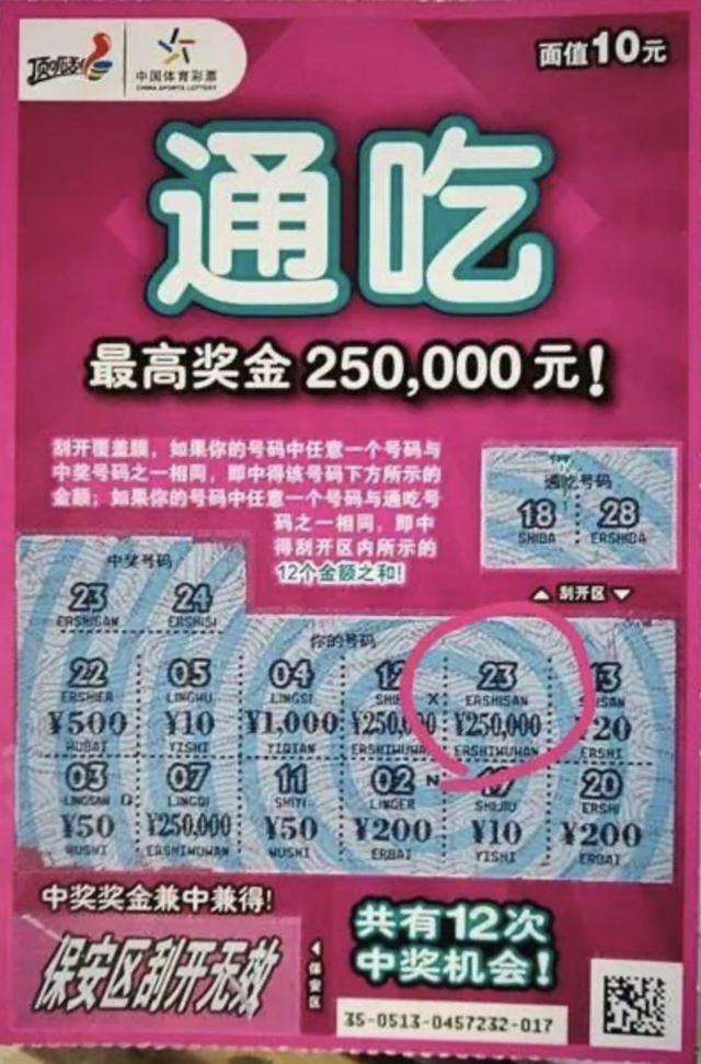 天下彩与天空彩票资料,天下彩与天空彩票，理性看待彩票的诱惑与风险