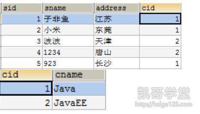2025年新澳开奖结果记录查询表,2025年新澳开奖结果记录查询表，透视未来彩票的透明化与科技融合