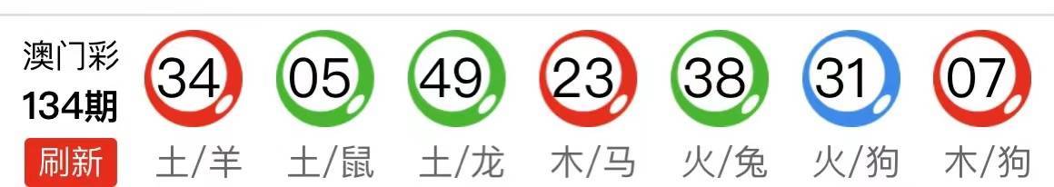 新澳门马会资料10码中特,澳门马会资料10码中特，揭秘背后的奥秘与风险