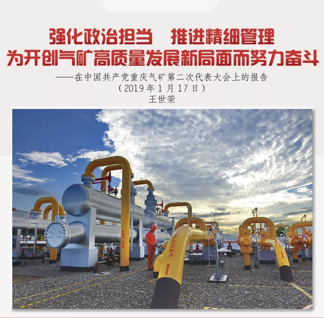2025年正版四不像图,2025年，探索四不像图形的未来与意义