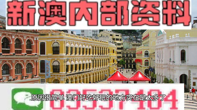 4949澳门精准免费大全2023,澳门4949精准免费大全2023，揭秘与警示