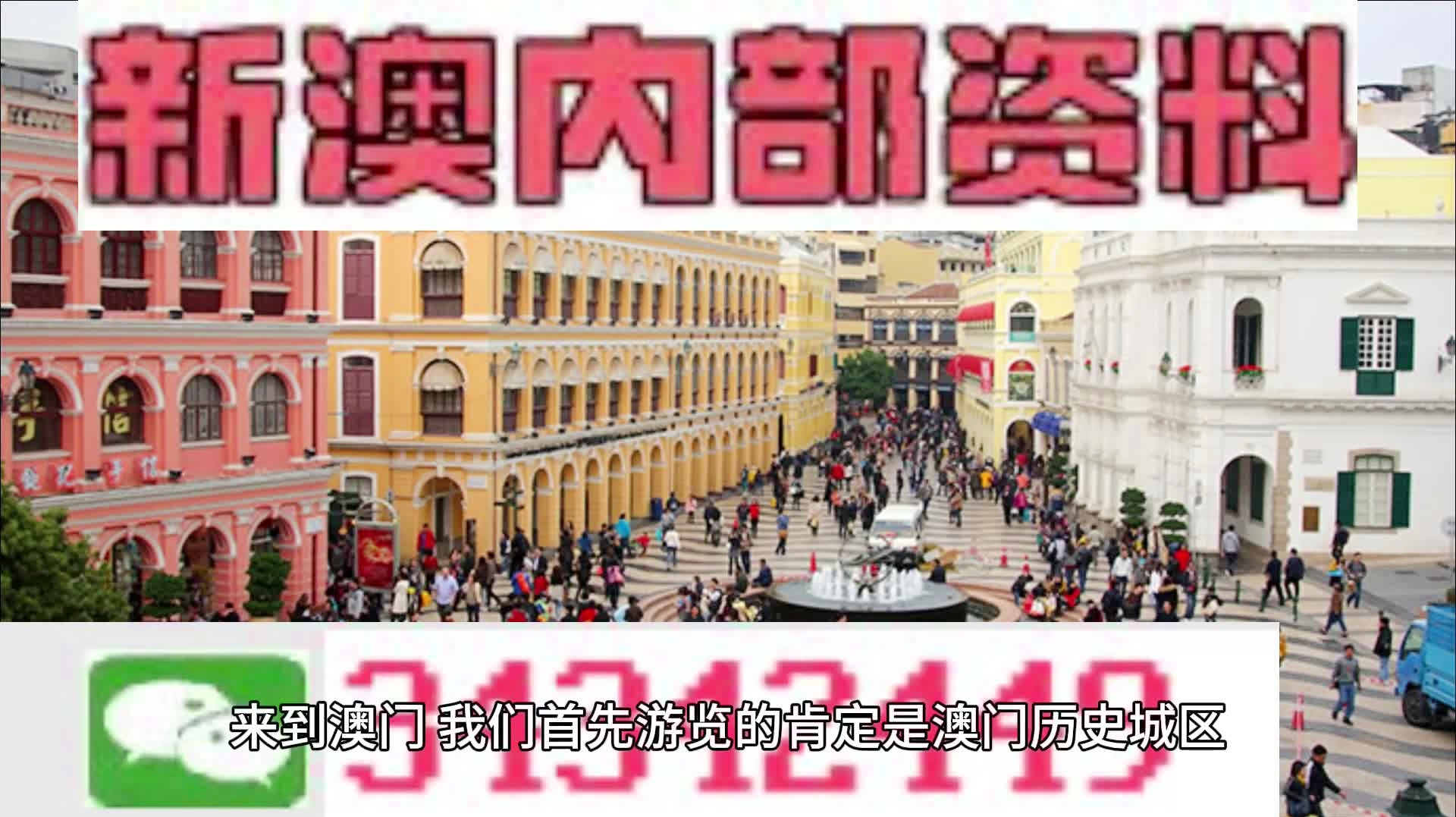 新澳门免费全年资料查询,探索新澳门的全年免费资料查询之旅