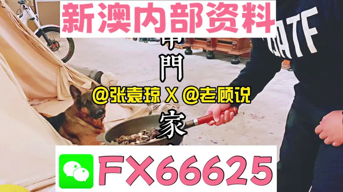 资讯 第108页