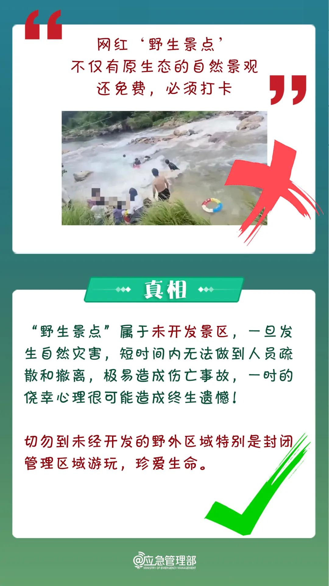白小姐精准免费四肖四码,揭秘白小姐精准免费四肖四码的真相，理性对待彩票与预测