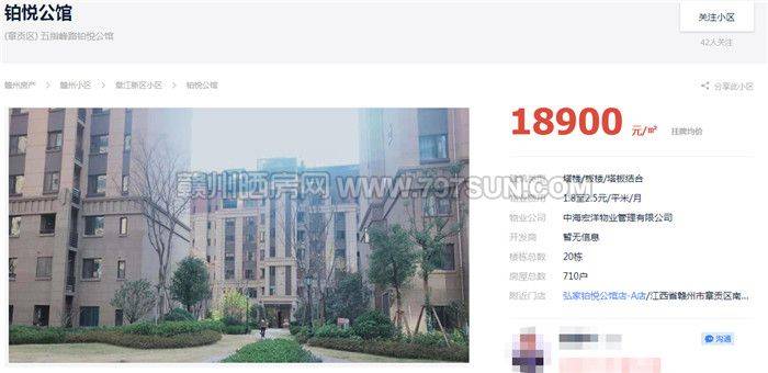 新奥门免费资料大全在线查看,探索新奥门，免费资料大全在线查看的全面指南