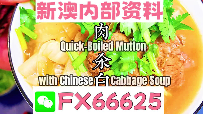 管家婆一码中一肖2025,未来之谜，2025年管家婆一码中一肖的预测与展望