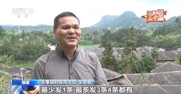 澳门4949资料最经典的一句,澳门4949，经典语录背后的文化与情感